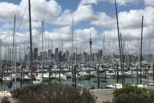 Auckland: tour privado de medio día por lo más destacado de la ciudad