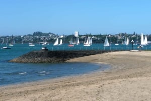 Auckland: tour privado de medio día por lo más destacado de la ciudad