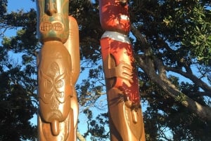 Auckland: tour privado de medio día por lo más destacado de la ciudad