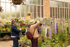 Auckland: Pół dnia - prywatna wycieczka fotograficzna z portretami