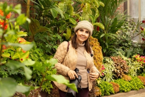 Auckland: Pół dnia - prywatna wycieczka fotograficzna z portretami