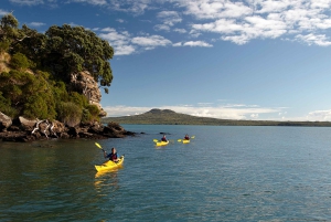 Auckland : Visite d'une demi-journée en kayak de mer sur l'île de Motukorea