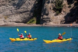 Auckland : Visite d'une demi-journée en kayak de mer sur l'île de Motukorea