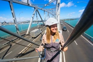 Ponte do Porto de Auckland: Bridge Climb