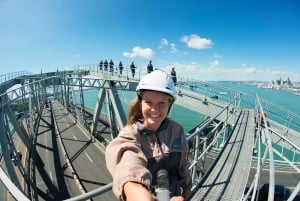 Ponte do Porto de Auckland: Bridge Climb