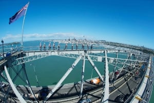 Ponte do Porto de Auckland: Bridge Climb