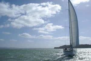 Haven van Auckland 1,5 Uur Zeilcruise