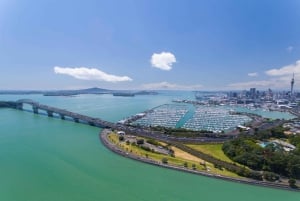 Haven van Auckland 1,5 Uur Zeilcruise