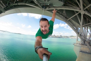 Auckland Harbour Bridge: Bungy