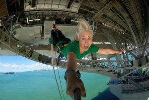 Auckland Harbour Bridge: Bungy