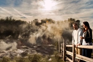 Auckland: Hobbiton Movie Set & Te Puia - Small Group Tour