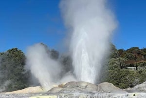 Auckland: Hobbiton Movie Set & Te Puia - Small Group Tour
