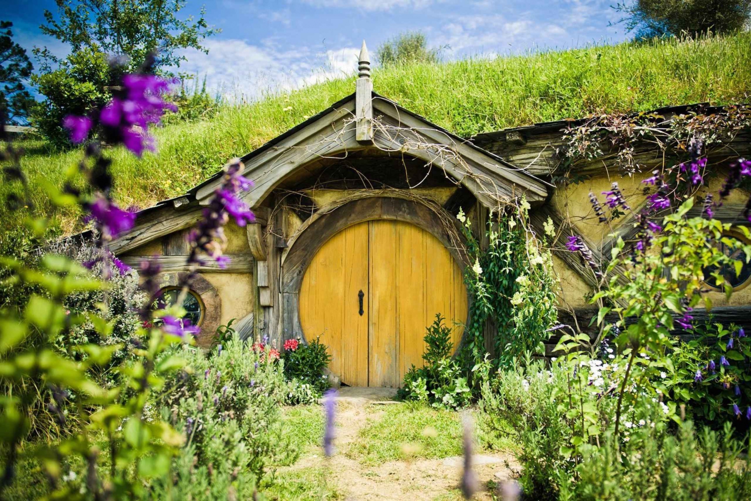 hobbiton tour and lunch
