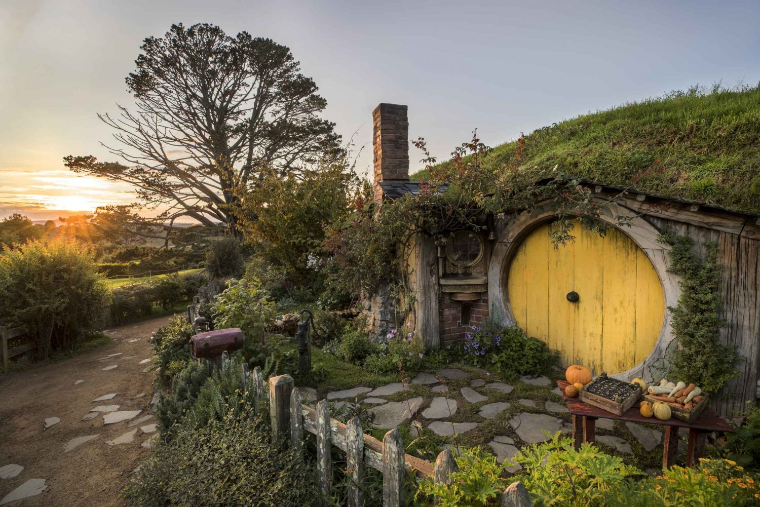 From Auckland: Hobbiton and Waitomo Bus Tour with Lunch