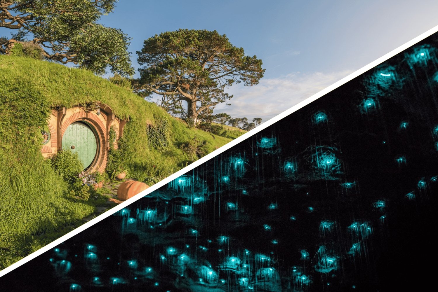 Auckland: Hobbiton, Waitomo Caves, and Rotorua 1-Way Tour