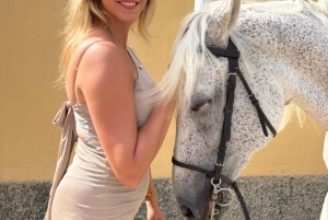 Auckland: Horseback Riding Through Vines with Wine & Dine