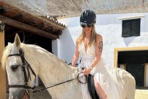 Auckland: Horseback Riding Through Vines with Wine & Dine