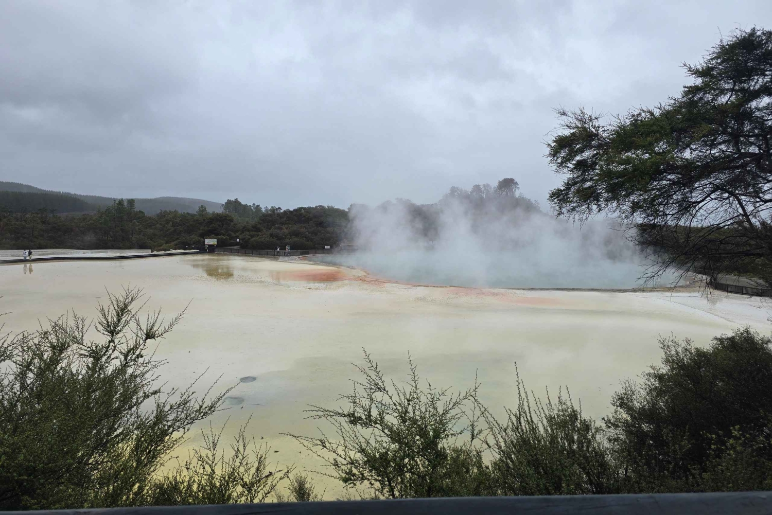 Passeio pelas fontes termais e águas curativas de Auckland