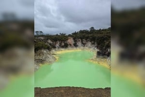 Passeio pelas fontes termais e águas curativas de Auckland