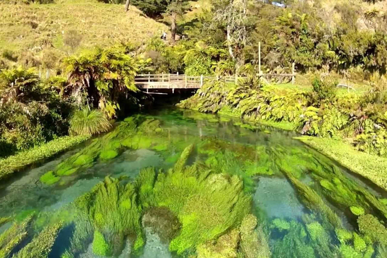 Auckland: LOTR, Hobbiton Movie Set e Hamurana Spring Tour