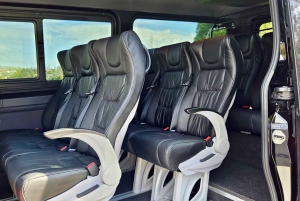 Auckland: tour privado de lujo por Matakana (comida, arte y vino)