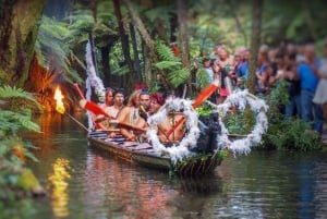 Auckland: Jantar noturno maori e experiência de espetáculo privado
