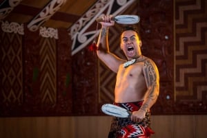 Auckland: Jantar noturno maori e experiência de espetáculo privado