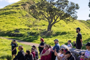 Auckland: Māori Urban Cultural Tour with Hangi Lunch