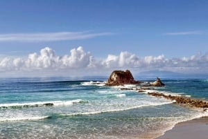 Auckland: Milkyway Glowworm Cave & Coastal Day Trip