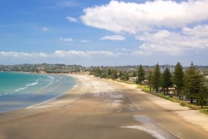 Auckland: Milkyway Glowworm Cave & Coastal Day Trip