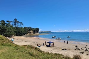 Auckland: Motuihe Island Ferry Ticket