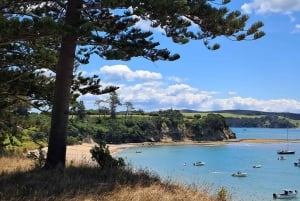 Auckland: Motuihe Island Ferry Ticket