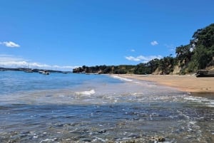 Auckland: Motuihe Island Ferry Ticket