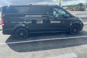 Auckland eller Hamilton: Auckland till Hamilton -Privat transfer