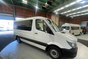 Auckland eller Hamilton: Auckland till Hamilton -Privat transfer