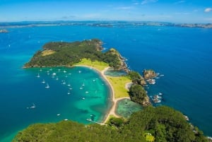 Auckland: Paihia via Bay of Islands One-Way Transfer