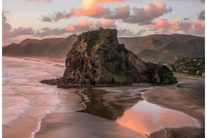 Auckland: tour privado a la playa de Piha, la selva tropical y el monte Eden