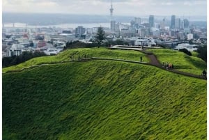 Auckland: tour privado a la playa de Piha, la selva tropical y el monte Eden