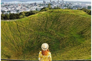 Auckland: tour privado a la playa de Piha, la selva tropical y el monte Eden