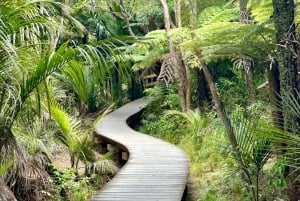 Auckland: tour privado a la playa de Piha, la selva tropical y el monte Eden