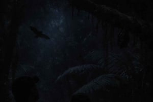 Auckland: Omvisning til fots for å oppdage flaggermus i Piha