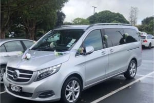 Auckland : Minivan privé pour un transfert aller simple entre l'aéroport et la ville