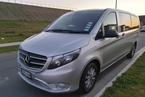 Auckland: Privata flygtransfer och turer