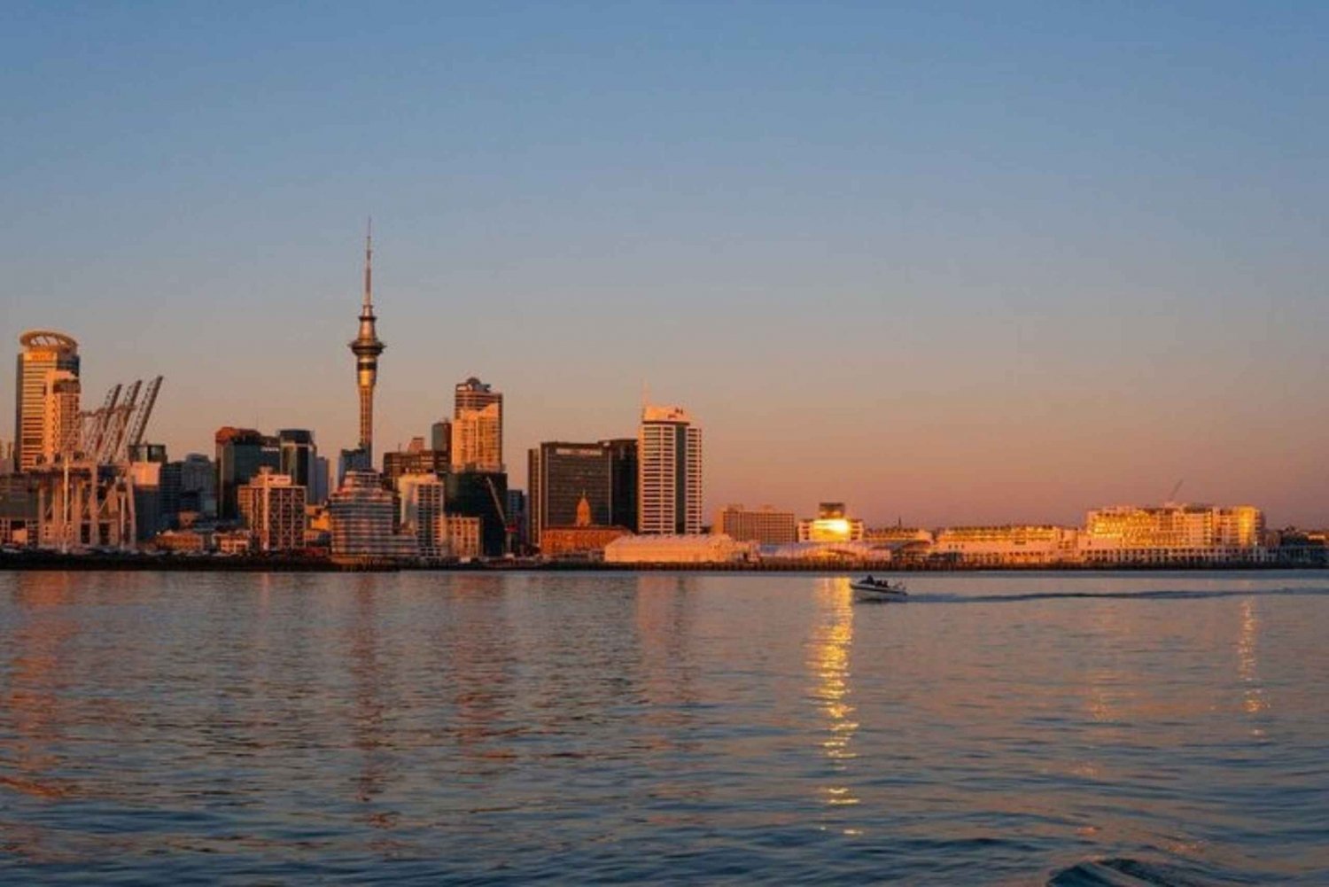 Auckland: Private custom tour with a local guide