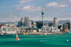 Auckland: Private custom tour with a local guide