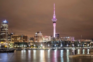 Auckland: Private Customizable Walking Tour with Local Guide