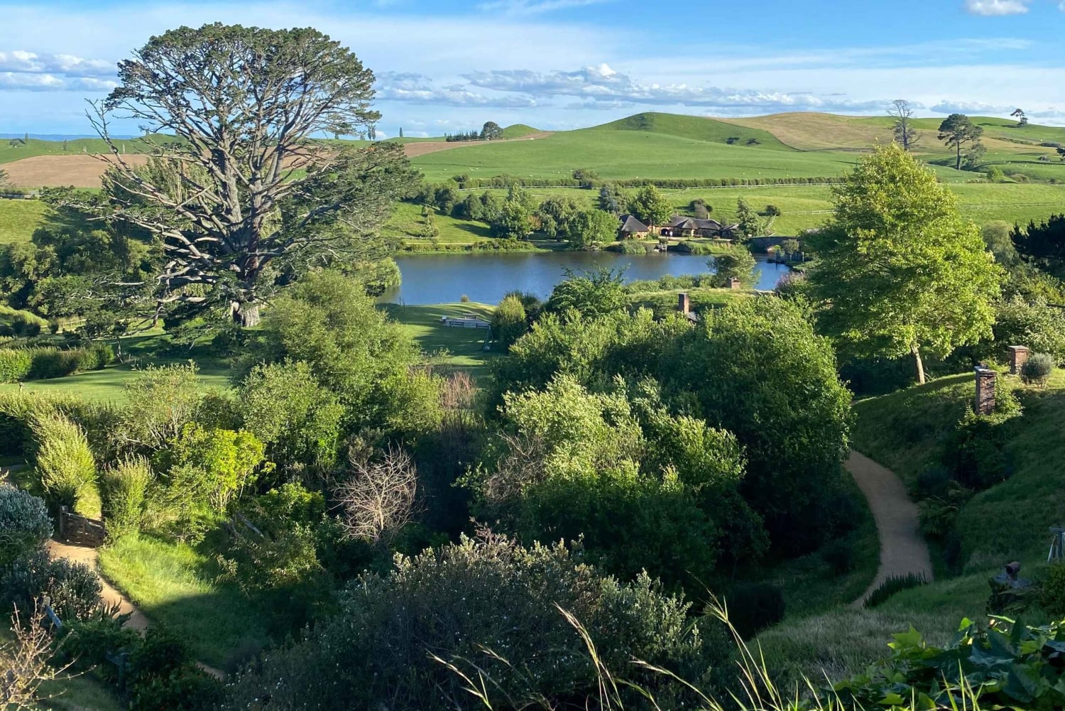 Auckland: tour privato del set cinematografico di Hobbiton e delle grotte di Waitomo