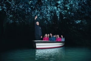 Auckland: Privétour naar de filmset van Hobbiton en de Waitomo Caves