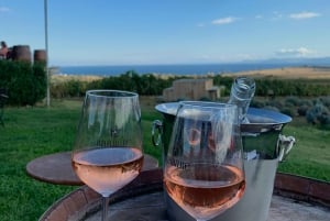 Auckland: Privat ridetur + frokost + vin + afhentning