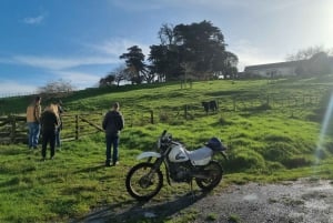 Auckland: Yksityinen lampaiden ja naudanlihan tuotantotilan kierros